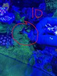 IMG_1879.JPEG