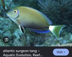 IMG_0435.jpeg
