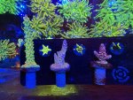 IMG_6758.jpeg