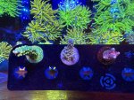 IMG_6756.jpeg