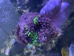 IMG_4022.jpeg