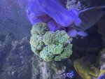 IMG_4025.jpeg