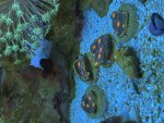 IMG_2428.jpeg