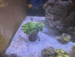 IMG_2964.jpeg