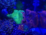IMG_6043.jpeg