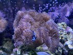 IMG_6070.jpeg
