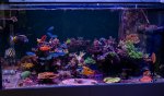 FTS2-2.jpg FTS2-2.jpg