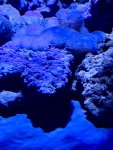 IMG_6327.jpeg