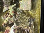 IMG_5212.jpeg