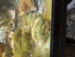 IMG_5218.jpeg