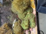 IMG_5224.jpeg