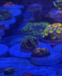 IMG_2044.jpeg