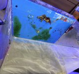 IMG_4312.jpeg