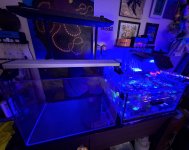 IMG_4318.jpeg