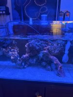 IMG_4677.jpeg