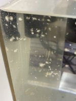 IMG_0511.jpeg