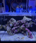 IMG_5574.jpeg