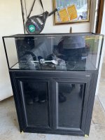 IMG_2812.jpeg