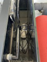 IMG_2808.jpeg