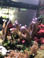 IMG_1436.jpg