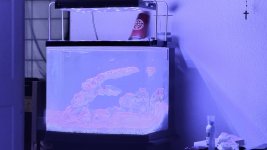 IMG_2492.jpeg