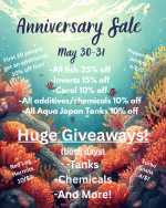 1year Anniversary Sale.png