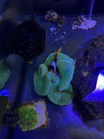 AquaCam_3FD46A4D.jpeg