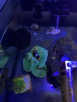 AquaCam_84BD038F.jpeg