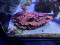 IMG_3510.jpeg