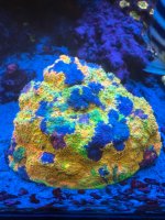 IMG_6832.jpeg
