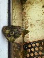 IMG_4506.jpeg