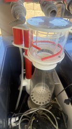 IMG_6208.jpeg