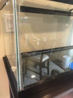 IMG_1499.jpg