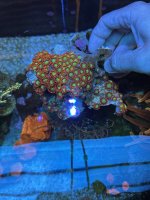 IMG_2767.jpeg