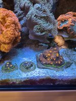 IMG_2752.jpeg