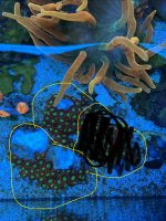 IMG_2758.jpeg