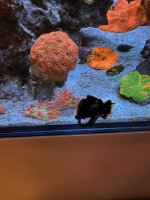 IMG_2748.jpeg