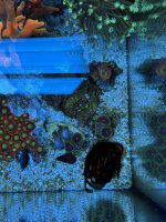 IMG_2768.jpeg