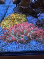 IMG_2749.jpeg