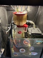 IMG_7949.jpeg