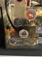 IMG_7950.jpeg