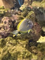 IMG_2866.jpeg