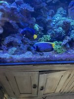 IMG_3746.jpeg