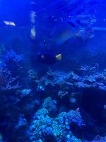 IMG_3748.jpeg