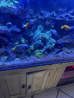 IMG_3747.jpeg