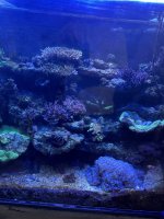 IMG_3749.jpeg