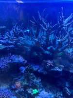 IMG_3750.jpeg