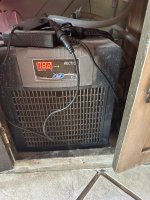 IMG_3751.jpeg
