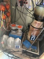 IMG_3752.jpeg