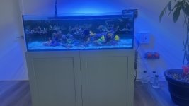 IMG_6712.jpeg